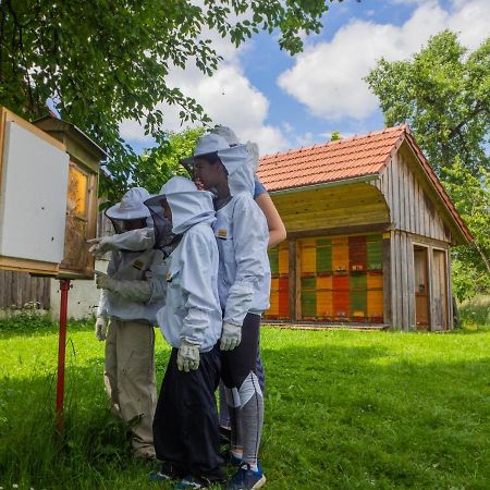 Beekeeping Kojek Daire Ribnica Dış mekan fotoğraf